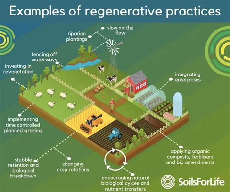  「Regenerative Agriculture: Principles and Practices」：希望の田園風景を描き出す、持続可能な農業のガイドブック！